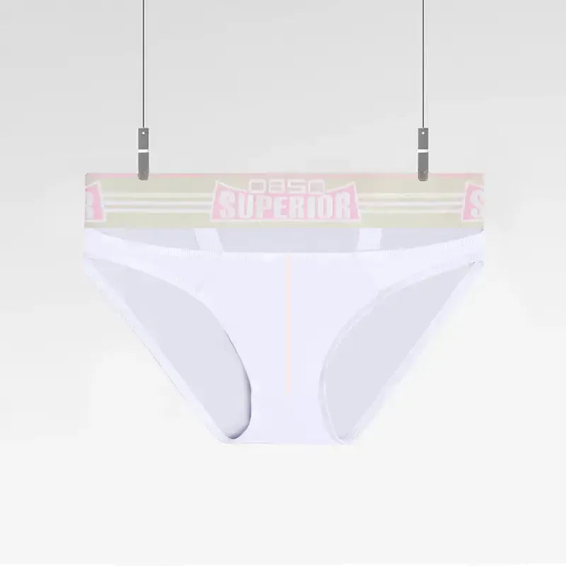 0850 Men's Sexy Low-Rise Cotton Briefs with Pouch