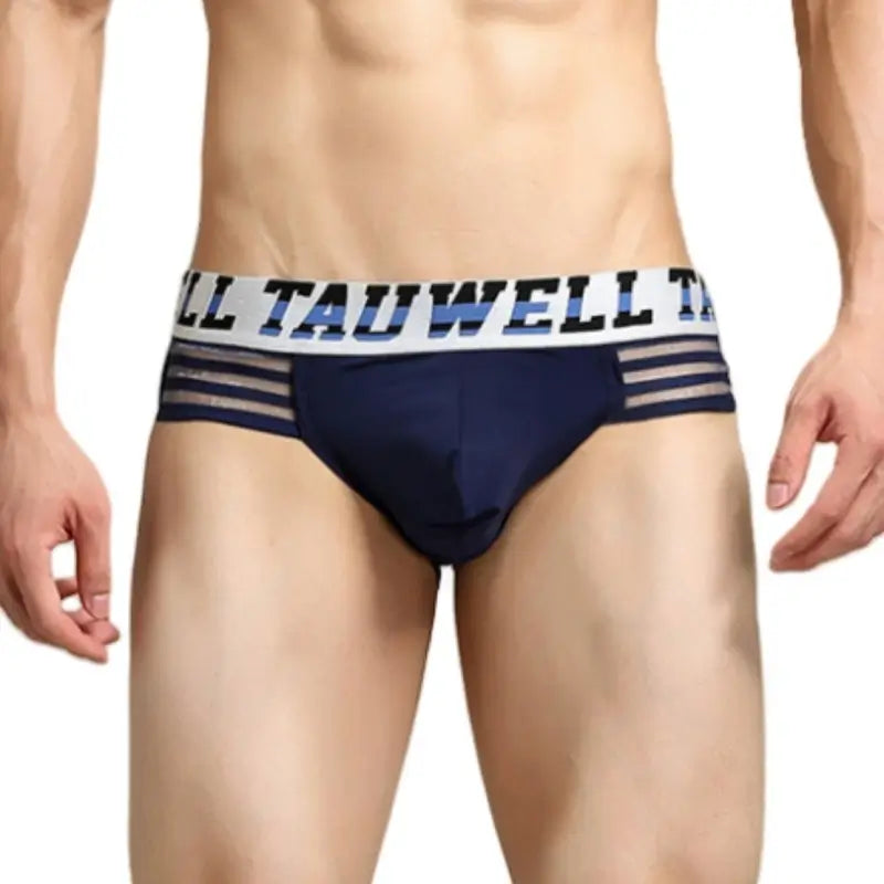 Tauwell Low Rise Nylon Brief Side Stripe 23101