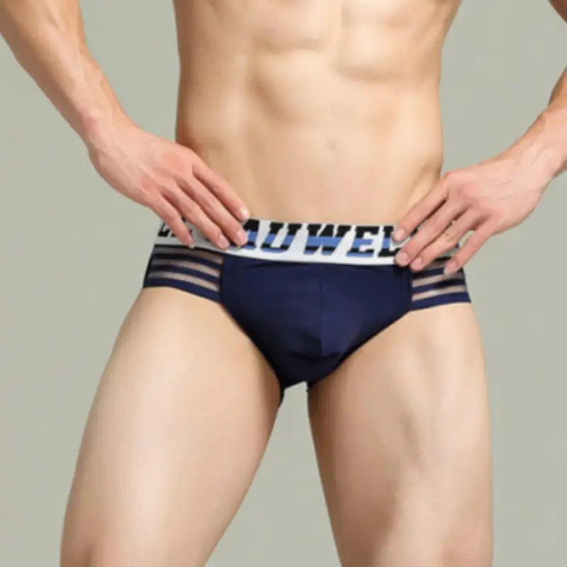 Tauwell Low Rise Nylon Brief Side Stripe 23101