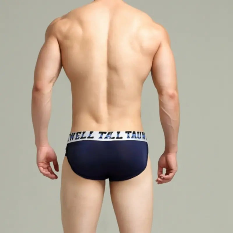 Tauwell Low Rise Nylon Brief Side Stripe 23101
