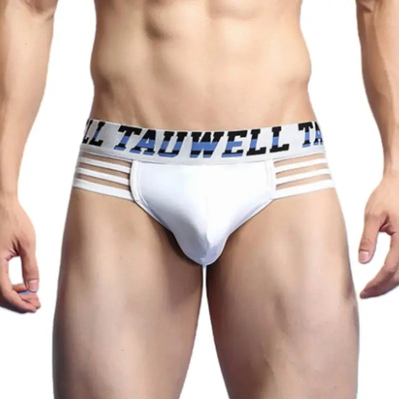 Tauwell Low Rise Nylon Brief Side Stripe 23101