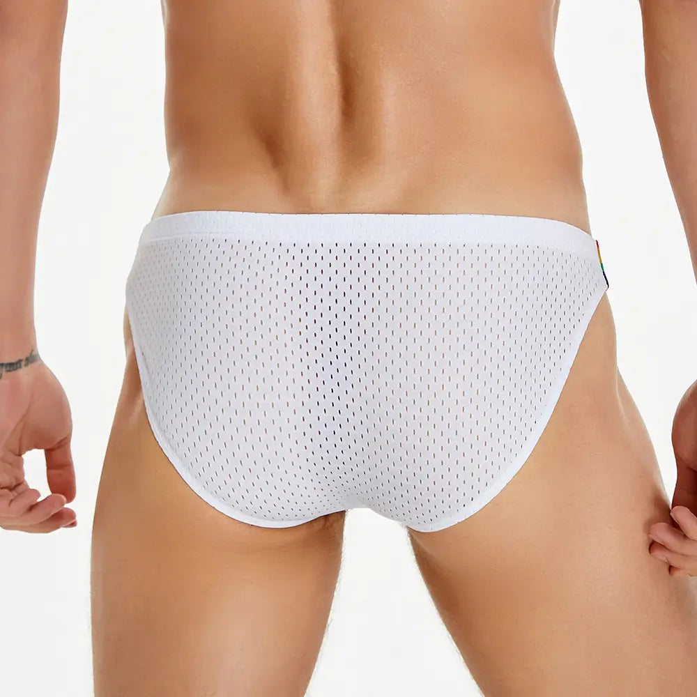 Seobean Rainbow Mesh Briefs for Men – Low Rise Nylon Underwear
