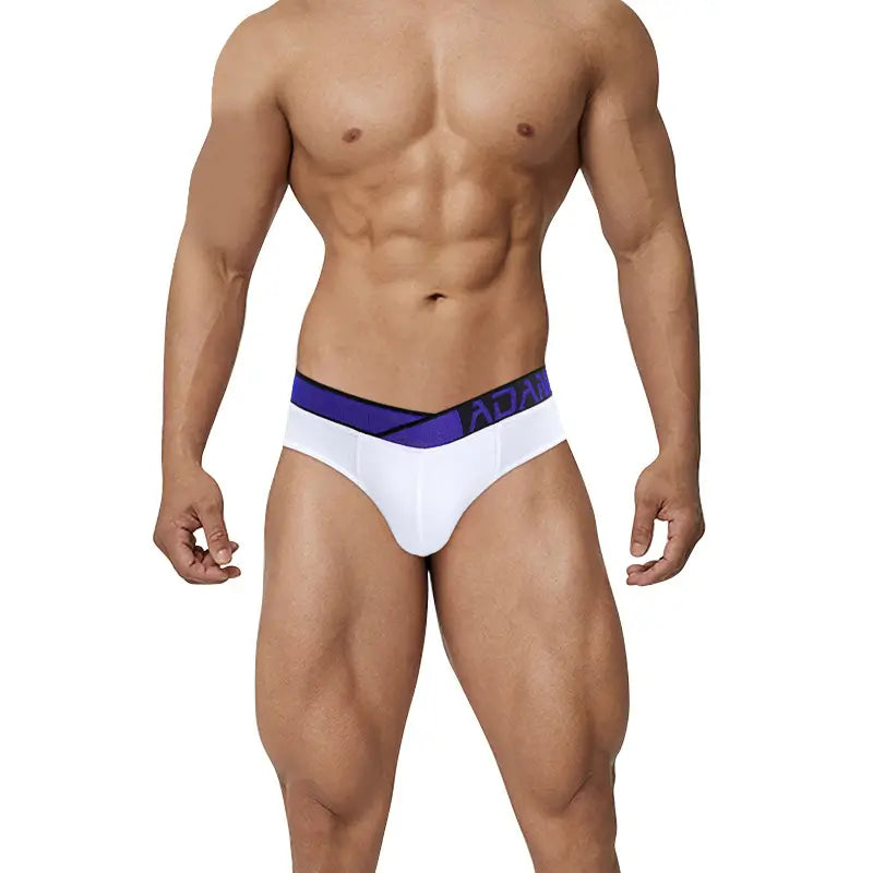 Men's Underwear Sexy Briefs - Low Waist Modal Blend Comfort Fit | Undies for Men