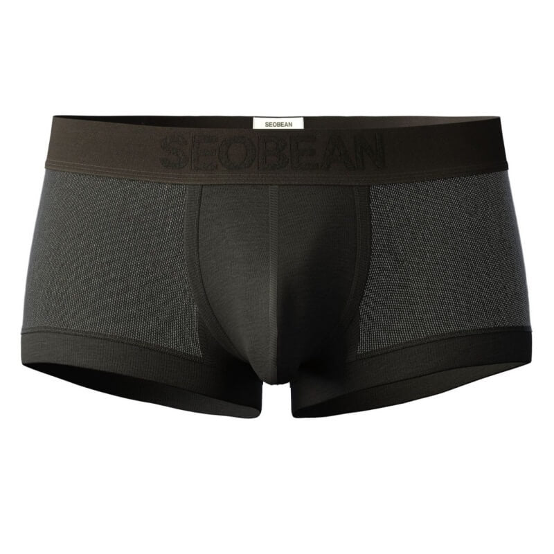 SEOBEAN Mesh Boxer Briefs for Men – Semi-Transparent