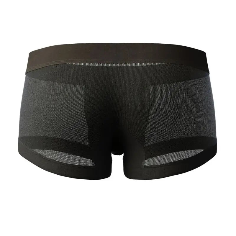 SEOBEAN Mesh Boxer Briefs for Men – Semi-Transparent