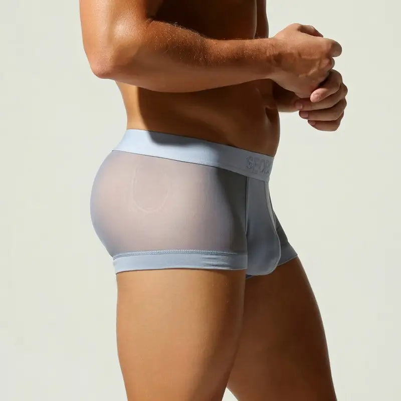 SEOBEAN Mesh Boxer Briefs for Men – Semi-Transparent