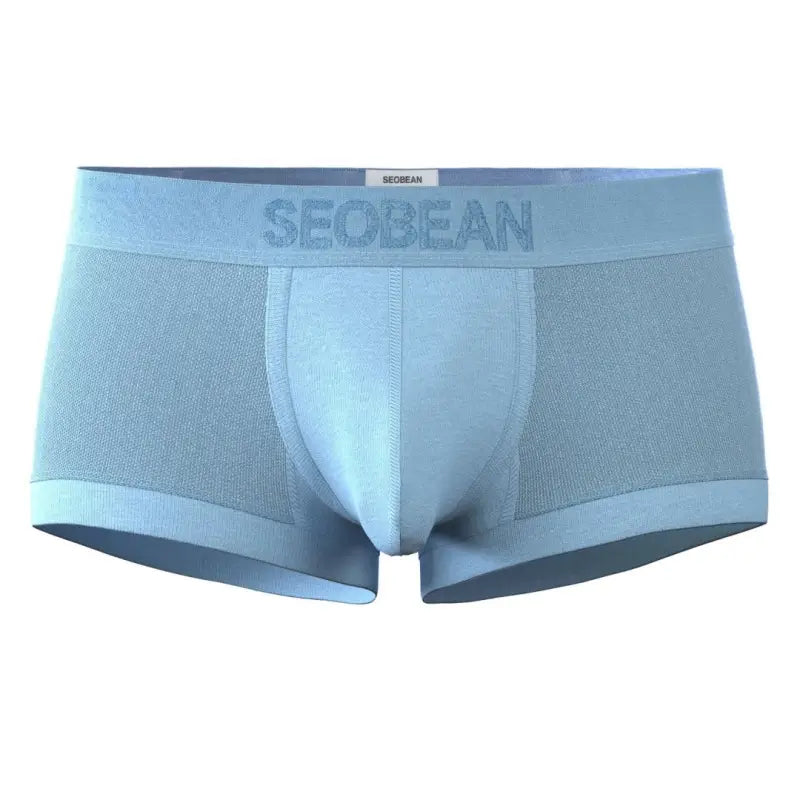 SEOBEAN Mesh Boxer Briefs for Men – Semi-Transparent