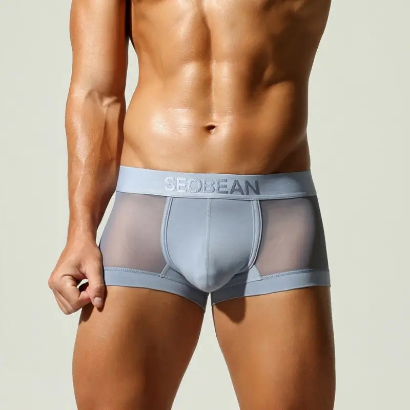 SEOBEAN Mesh Boxer Briefs for Men – Semi-Transparent