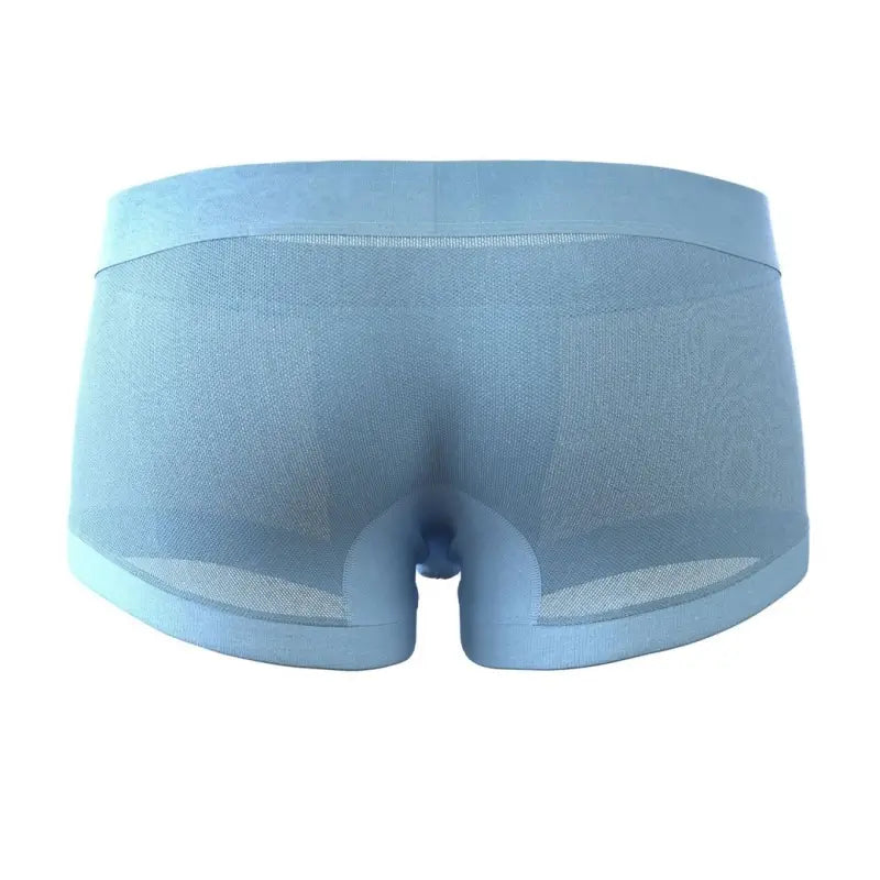 SEOBEAN Mesh Boxer Briefs for Men – Semi-Transparent