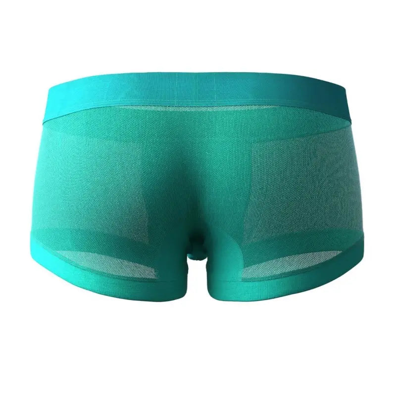 SEOBEAN Mesh Boxer Briefs for Men – Semi-Transparent