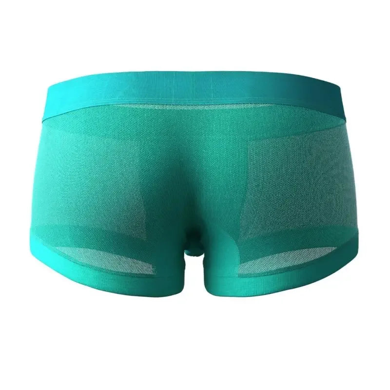 SEOBEAN Mesh Boxer Briefs for Men – Semi-Transparent - Undies for Men