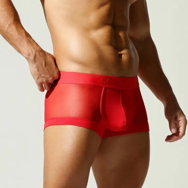 SEOBEAN Mesh Boxer Briefs for Men – Semi-Transparent