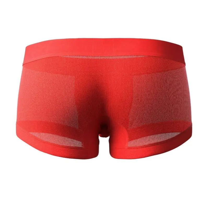 SEOBEAN Mesh Boxer Briefs for Men – Semi-Transparent