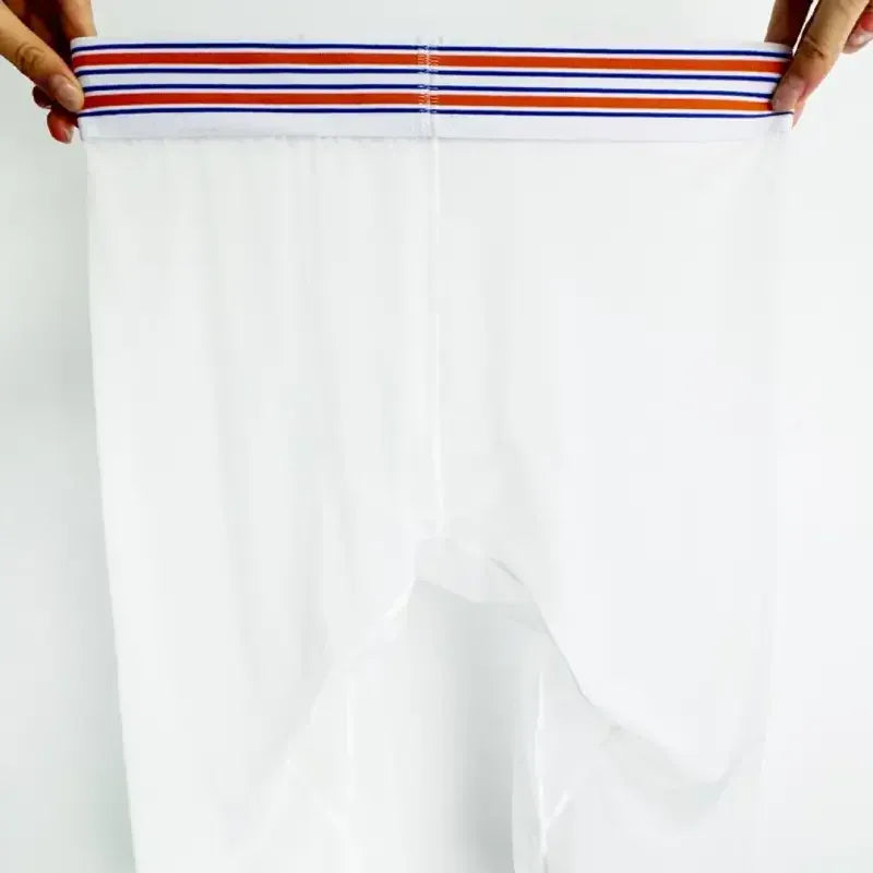 Adannu Adannu Men's Sexy Transparent Quick Dry Breathable Boxer Shorts AD7374