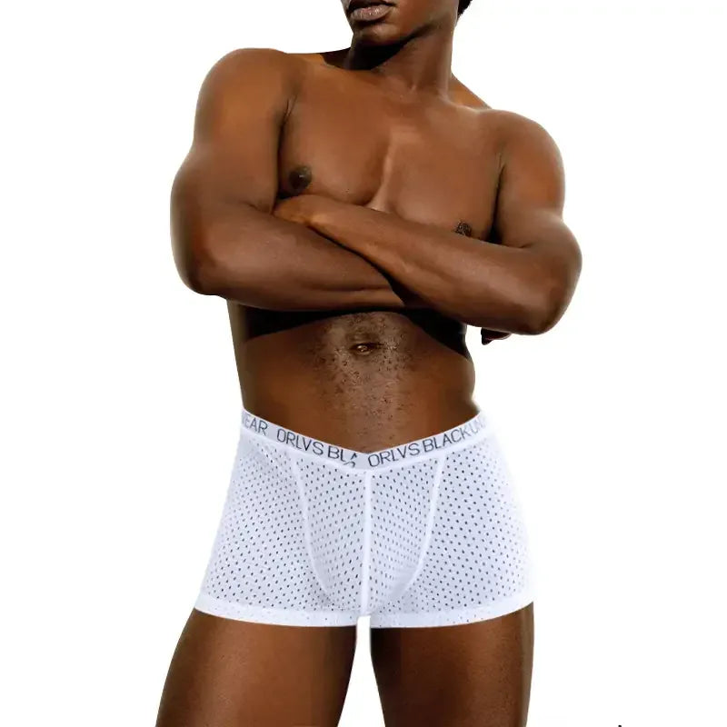 Adannu Adannu Men's Breathable Mesh Boxer Shorts Underwear for Men