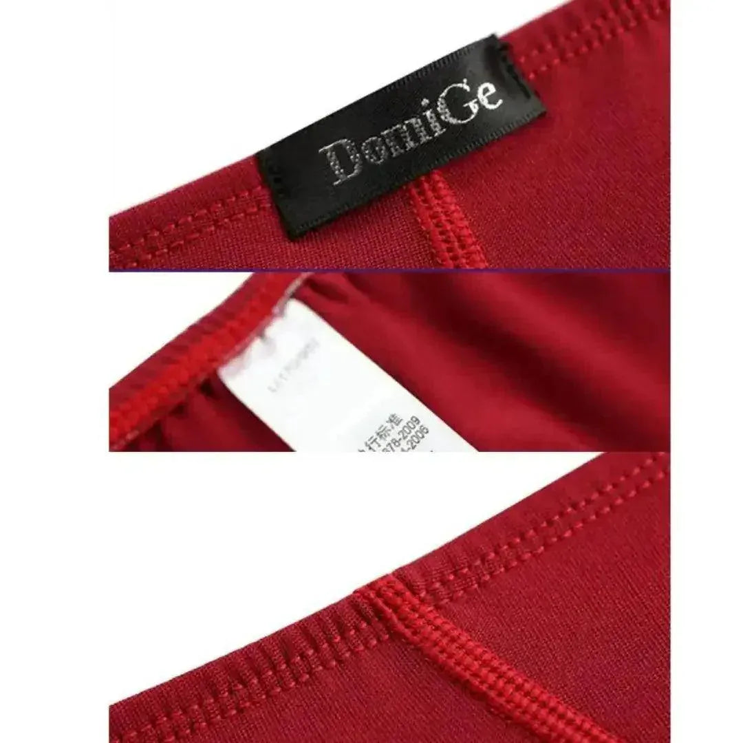 DomiGe DomiGe Men's Red Low-Rise Briefs Full Coverage Undies