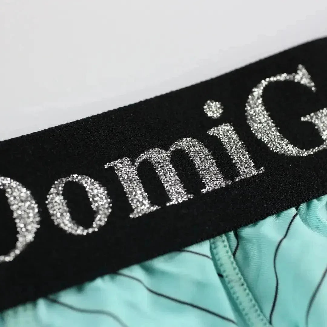 DomiGe Men's Striped Trunks Ice Silk Pouch Male Sexy Underwear - Undies for Men