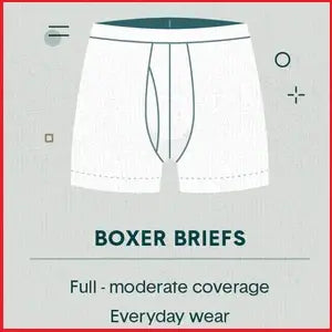 Boxer Briefs for Men