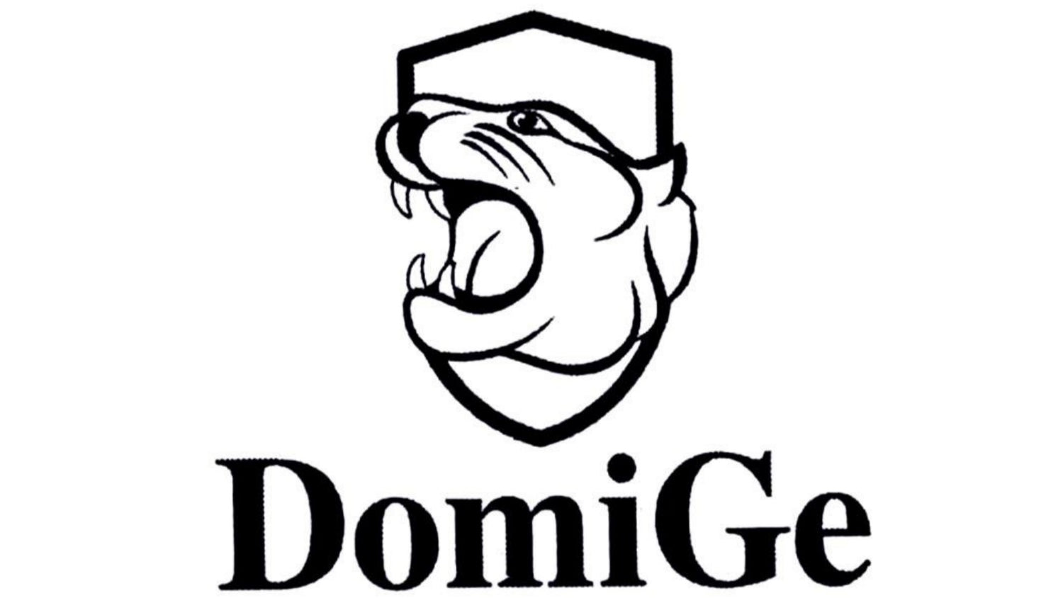 DomiGe Underwear Logo