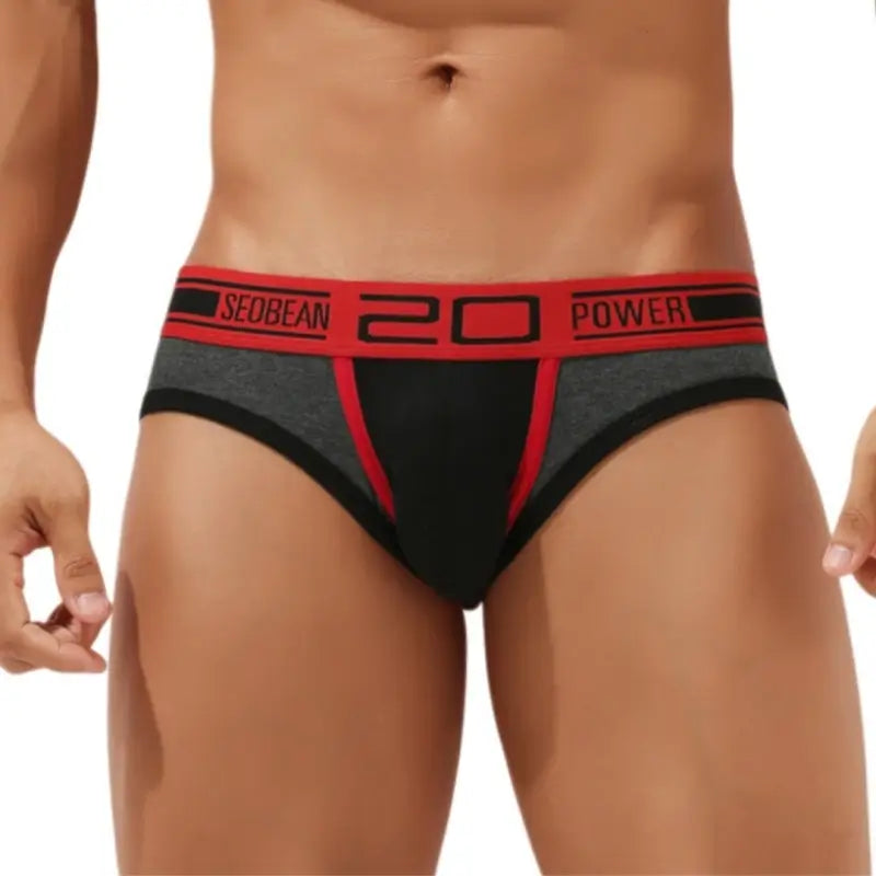 Seobean Men’s Low Rise Briefs — Cotton Spandex Sexy Contour Pouch Underwear 10101