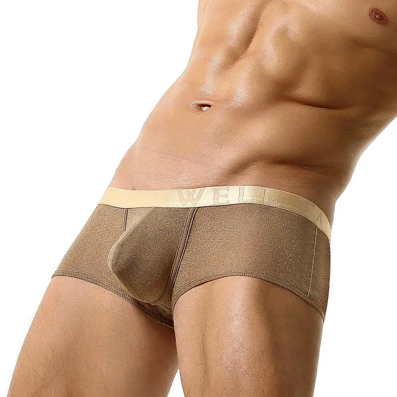 Tauwell Men's Low Rise Shiny Boxer Briefs