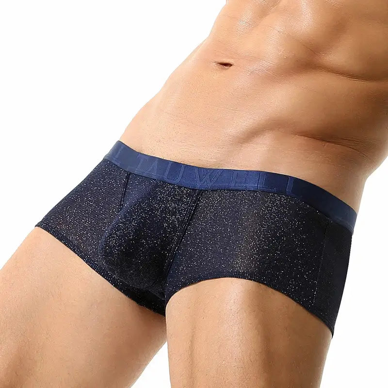 Tauwell Men's Low Rise Shiny Boxer Briefs