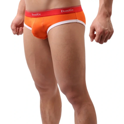 DomiGe Men's Low-Rise Modal Briefs Pouch Undies for Men