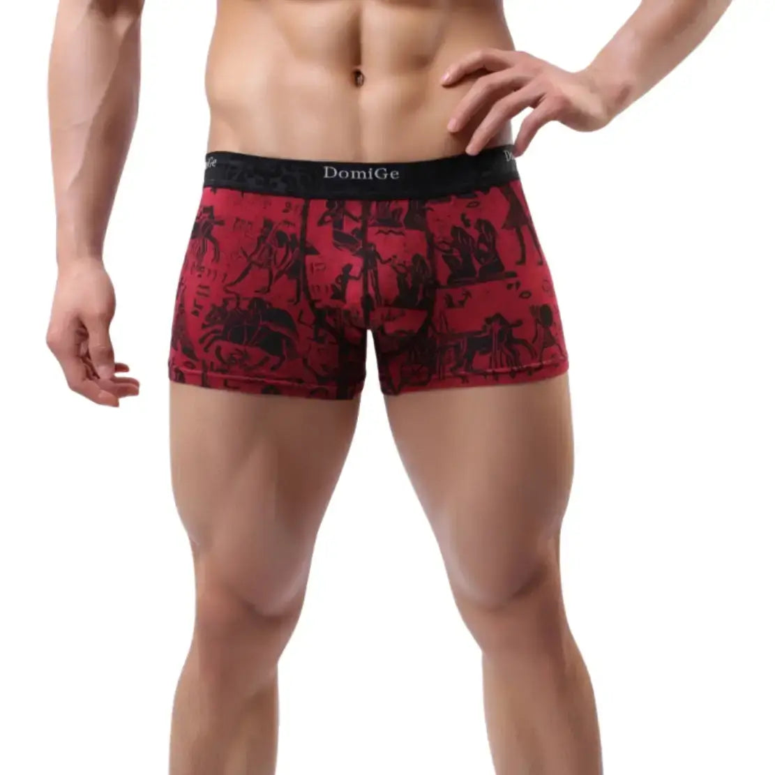 DomiGe Eco-Friendly Bamboo Fiber Boxer Shorts