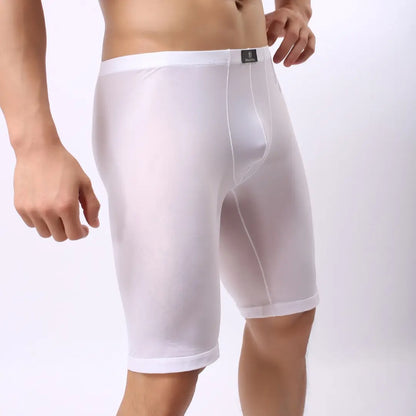 DomiGe Kompressionsunterwäsche-Boxershorts für Herren mit langem Bein