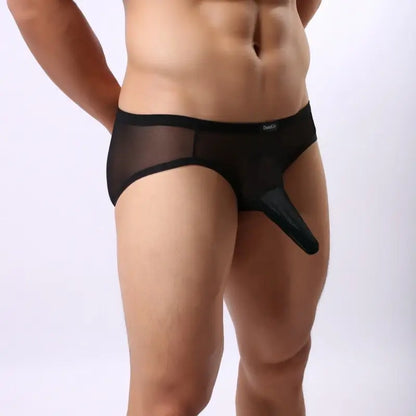 DomiGe Men's Mesh Cock Sock Brief – Breathable Nylon Pouch