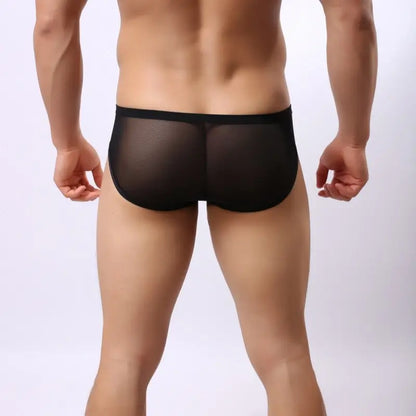 DomiGe Men's Mesh Cock Sock Brief – Breathable Nylon Pouch