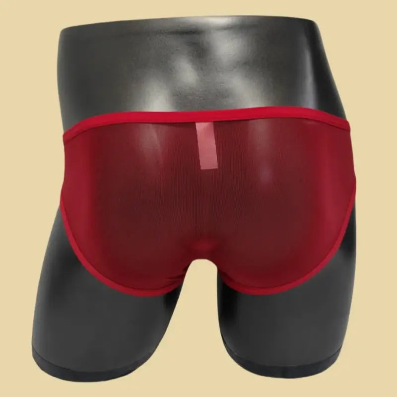 DomiGe Men's Mesh Cock Sock Brief – Breathable Nylon Pouch