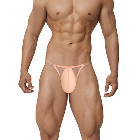 Adannu Sexy Low-Rise Stretchy High-Cut Mesh Briefs for Men