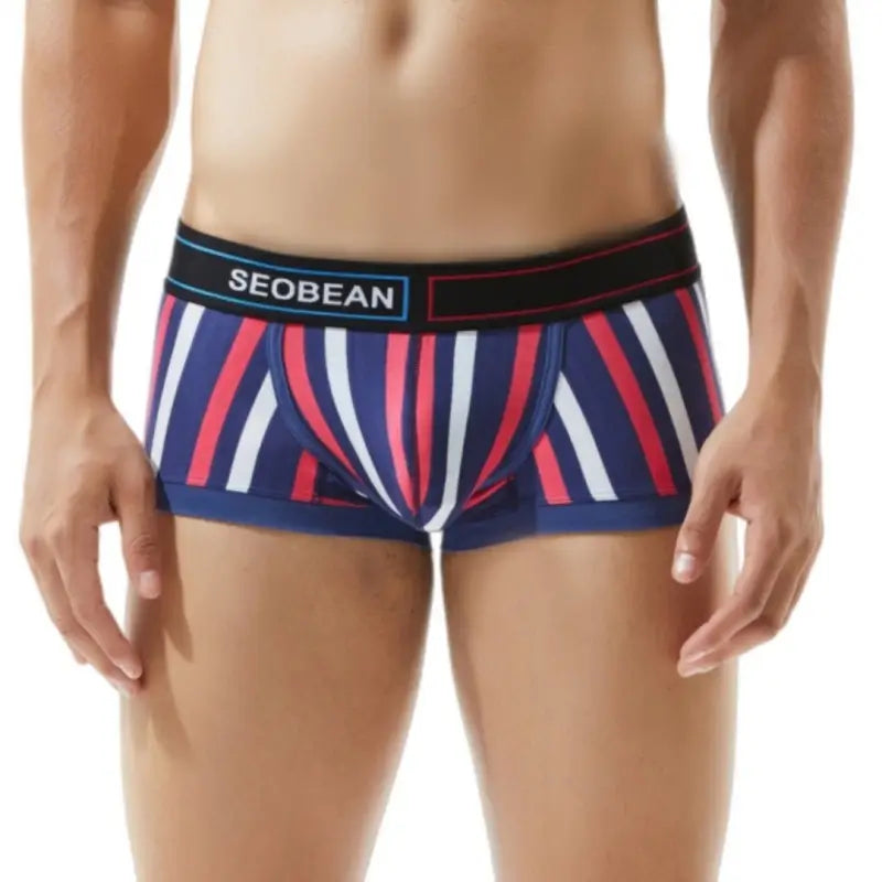 Seobean Men's Low Rise Stripe Boxer Briefs Cotton Stretch Trunk Underwear