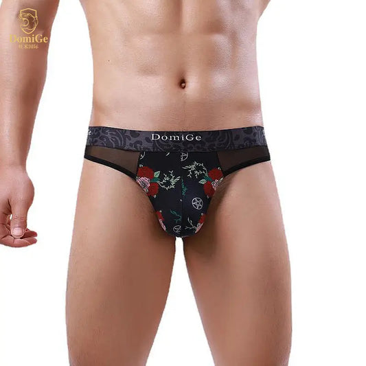 DomiGe Men's Thongs Mesh Briefs Modal Sexy Bikini Underwear