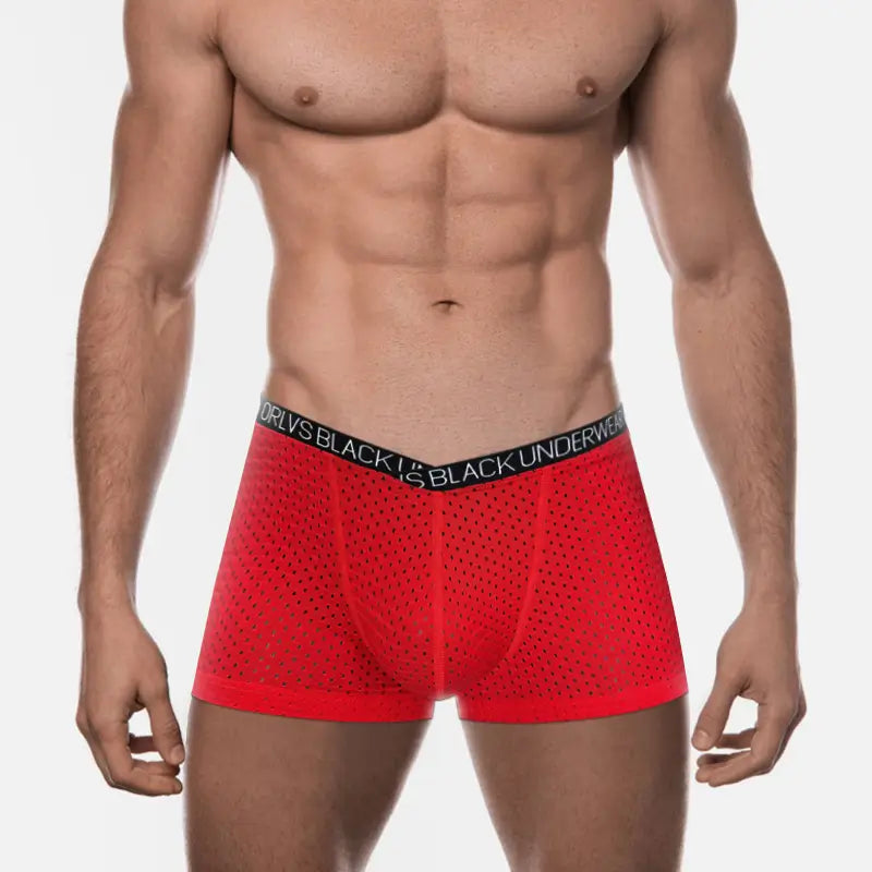 Adannu Men's Breathable Mesh Boxer Shorts Underwear for Men