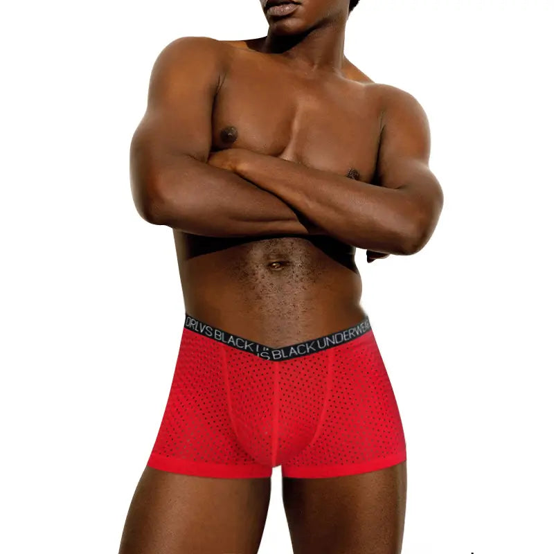 Adannu Men's Breathable Mesh Boxer Shorts Underwear for Men