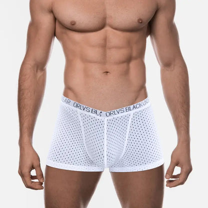 Adannu Men's Breathable Mesh Boxer Shorts Underwear for Men