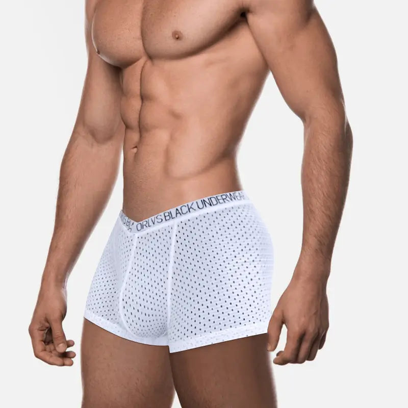 Adannu Men's Breathable Mesh Boxer Shorts Underwear for Men