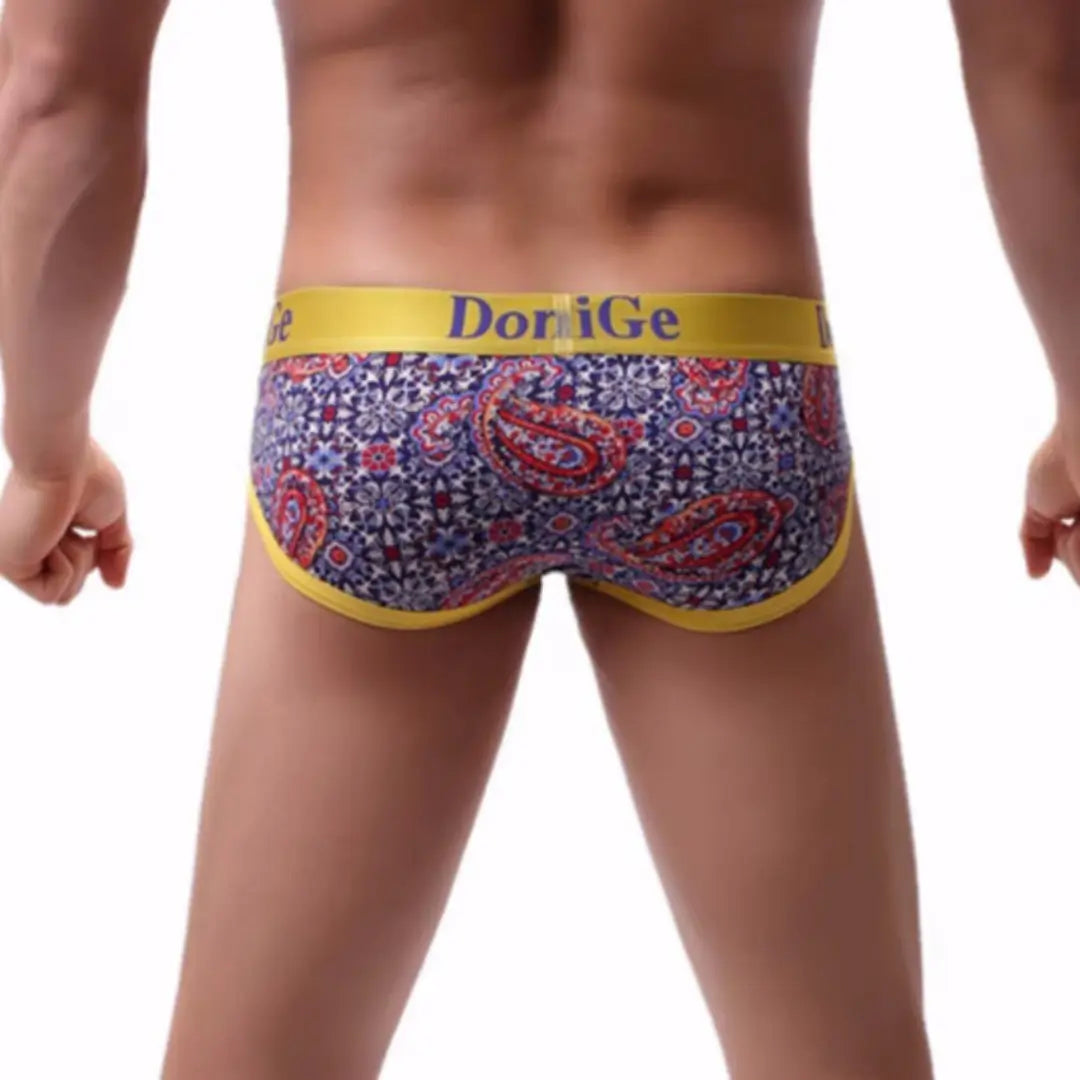 DomiGe Men's Underwear, Red Paisley Print Briefs for Men