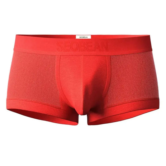 SEOBEAN Mesh Boxer Briefs for Men – Semi-Transparent
