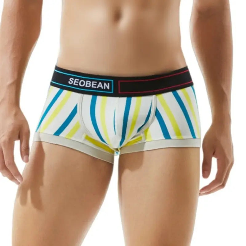 Seobean Men's Low Rise Stripe Boxer Briefs Cotton Stretch Trunk Underwear