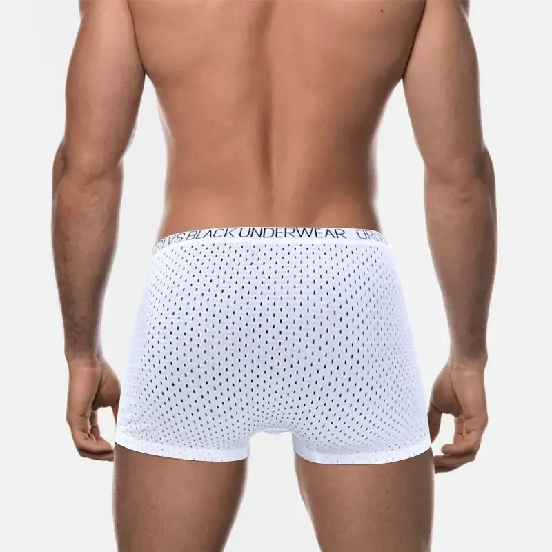 Adannu Adannu Men's Breathable Mesh Boxer Shorts Underwear for Men