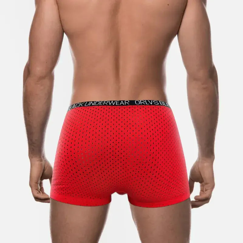 Adannu Adannu Men's Breathable Mesh Boxer Shorts Underwear for Men