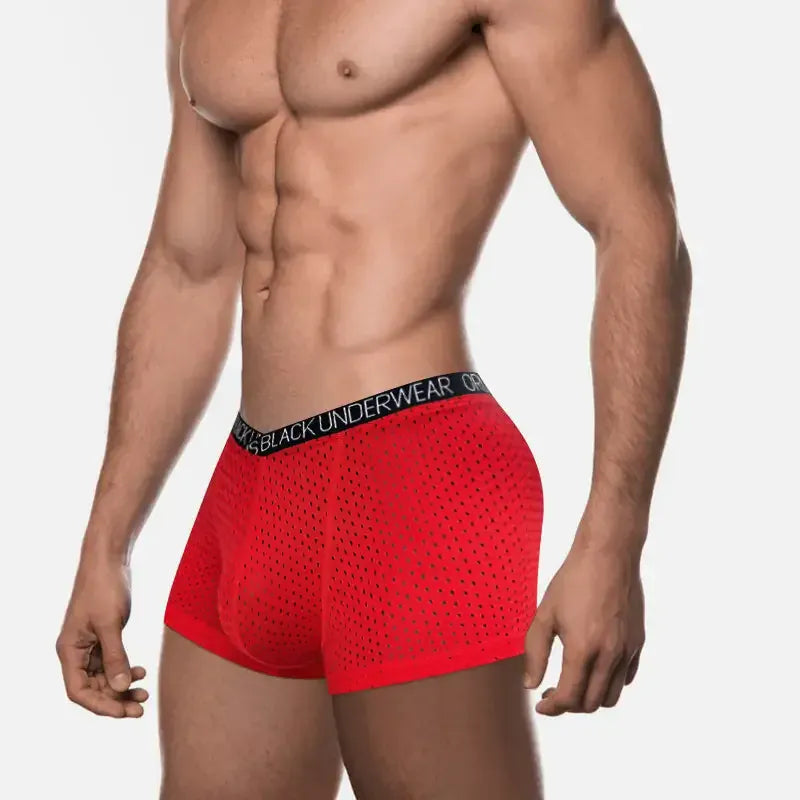 Adannu Adannu Men's Breathable Mesh Boxer Shorts Underwear for Men