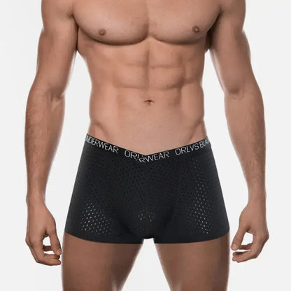 Adannu Adannu Men's Breathable Mesh Boxer Shorts Underwear for Men