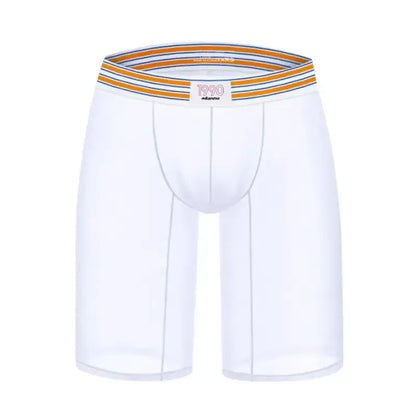 Adannu Adannu Men's Sexy Transparent Quick Dry Breathable Boxer Shorts AD7374