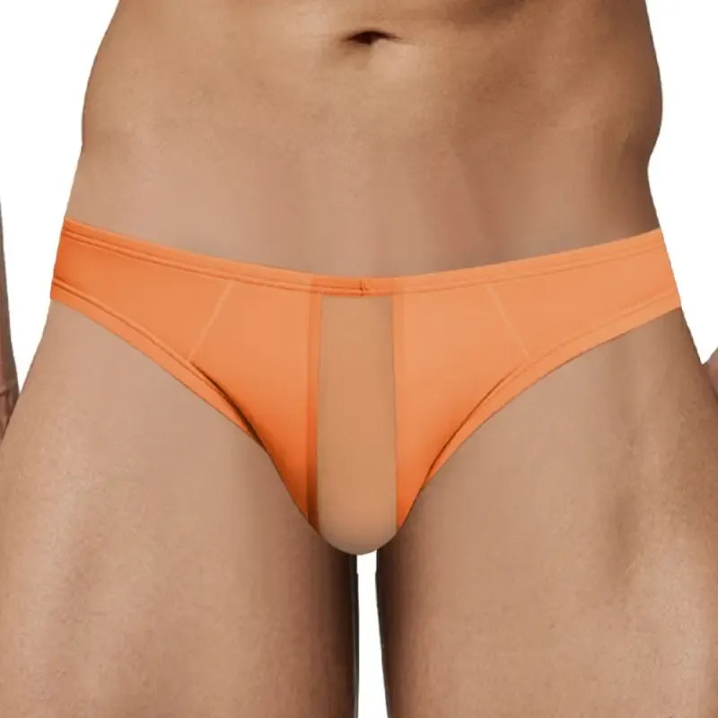 Adannu Briefs Men's Mesh Splice Modal Mesh Brief