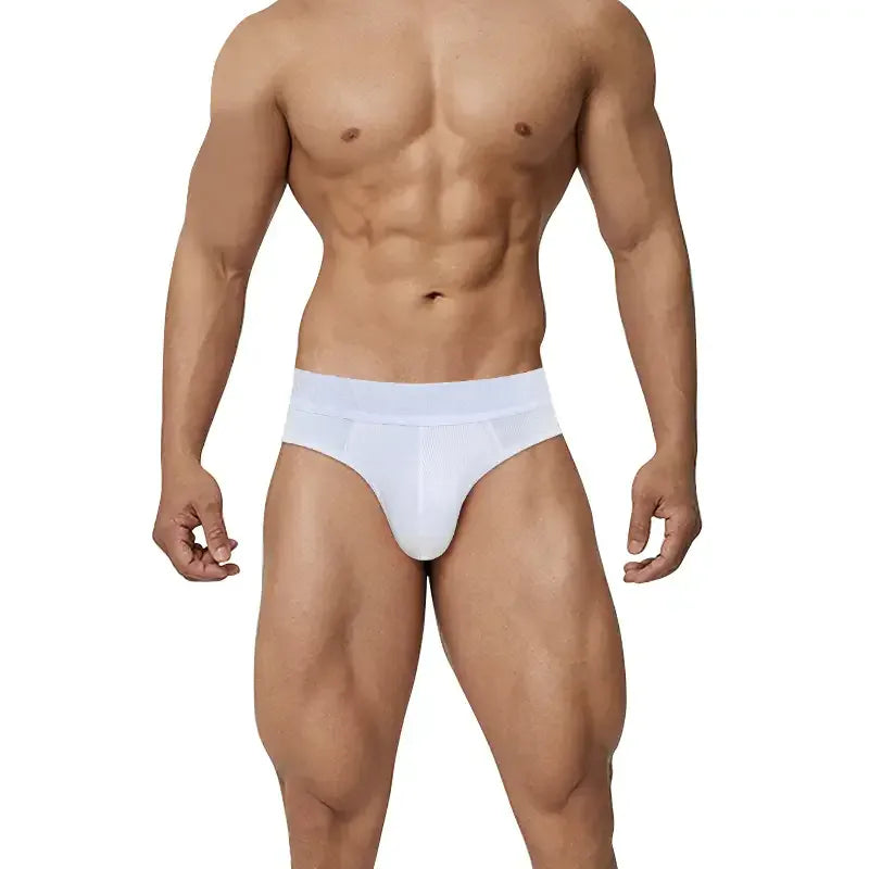 Adannu Men's Low Rise Briefs - Sexy Sculpted Pouch Underwear