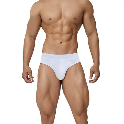 Adannu Men's Low Rise Briefs - Sexy Sculpted Pouch Underwear